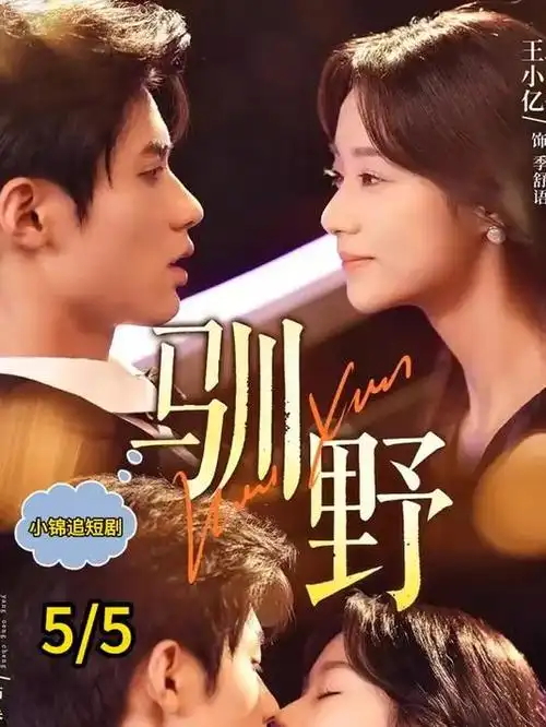 繁花 剧集 2024 王家卫